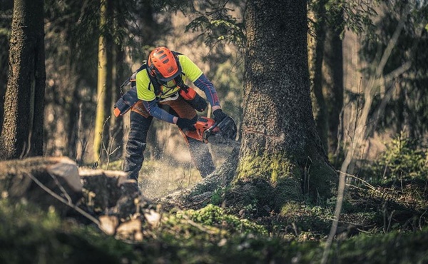 Motosierra Husqvarna 560 Xp Autotune